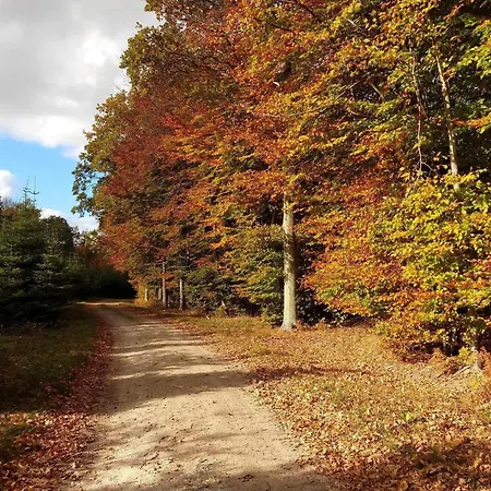 Tatil Evi 8 Person In Karrebaeksminde-by Traum *